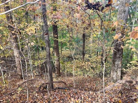 636 River Rd, Celina, TN 38551 photo 53