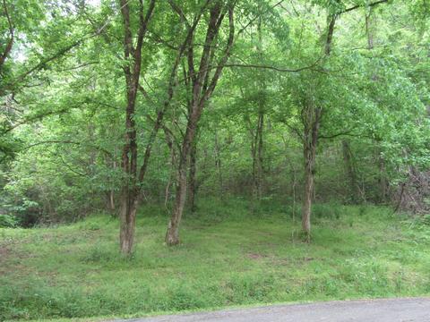 636 River Rd, Celina, TN 38551 photo 43
