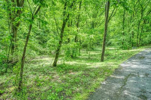 636 River Rd, Celina, TN 38551 photo 32