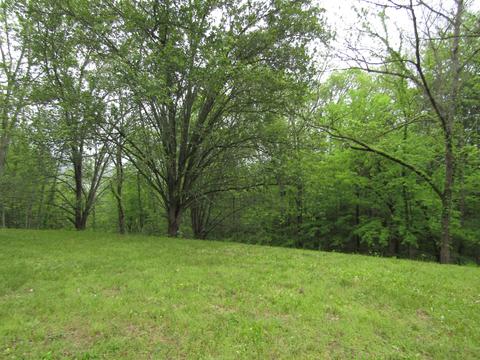 636 River Rd, Celina, TN 38551 photo 40