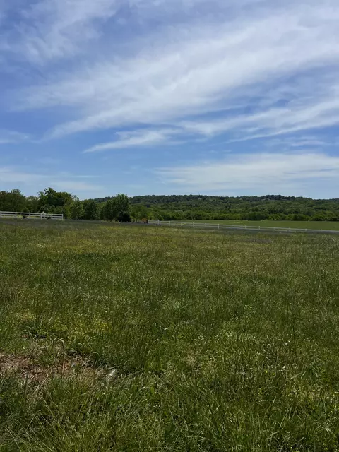 926 Cortner Rd, Normandy, TN 37360 photo 15