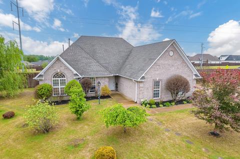 126 Chestnut Cv, Medina, TN 38355