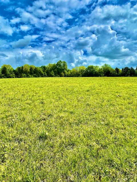 0 Lot 3 Warner Bridge Rd, Shelbyville, TN 37160