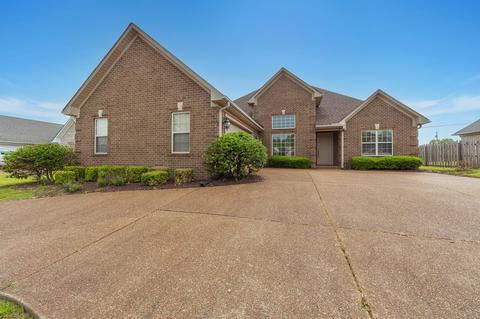 133 Highbury St, Medina, TN 38355