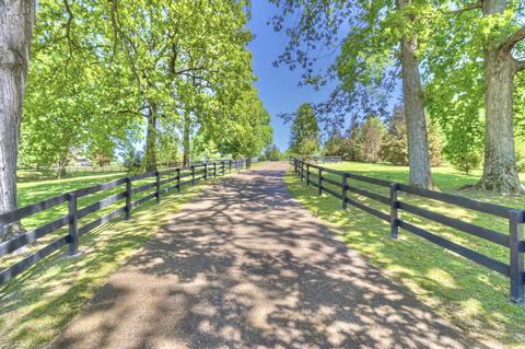 7308 Walker Rd, Fairview, TN 37062 photo 1