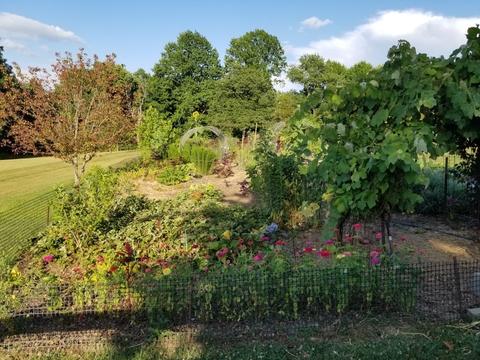 7308 Walker Rd, Fairview, TN 37062 photo 35