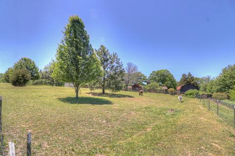 7308 Walker Rd, Fairview, TN 37062 photo 10