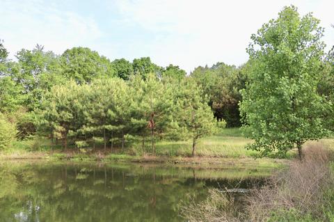 7300 Walker Rd, Fairview, TN 37062