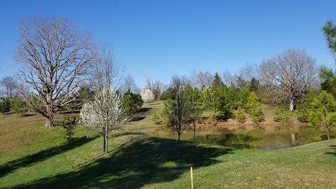 7304 Walker Rd, Fairview, TN 37062 photo 3