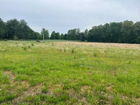 0 Henegar Rd, Morrison, TN 37357 photo 2