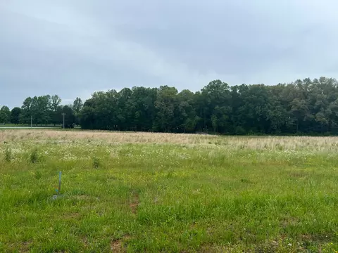 0 Henegar Rd, Morrison, TN 37357 photo 3