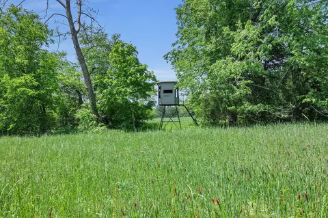 0 Shoulder Strap Branch Ln, Vanleer, TN 37181