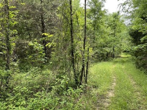 0 Ridge Rd, Cedar Hill, TN 37032