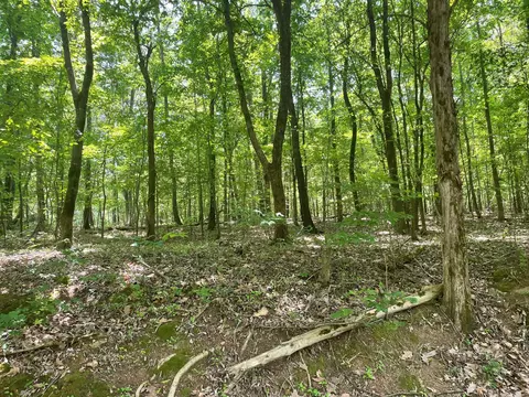 7 York Dr, Rogersville, AL 35652