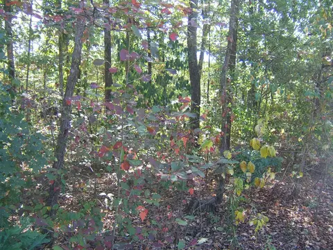 298 Hidden Ridge Loop, Dunlap, TN 37327 photo 34