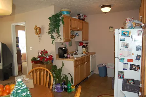 156 Branch Rd, Dunlap, TN 37327 photo 25