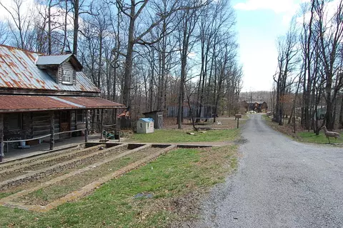 71 Dees Rd, Dunlap, TN 37327 photo 5