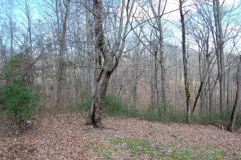 71 Dees Rd, Dunlap, TN 37327 photo 36