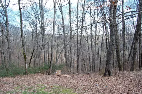 71 Dees Rd, Dunlap, TN 37327 photo 37