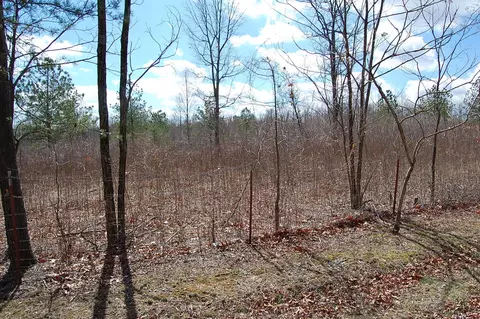 71 Dees Rd, Dunlap, TN 37327 photo 60