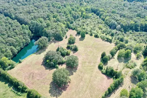 7123 Dice Lampley Rd, Fairview, TN 37062