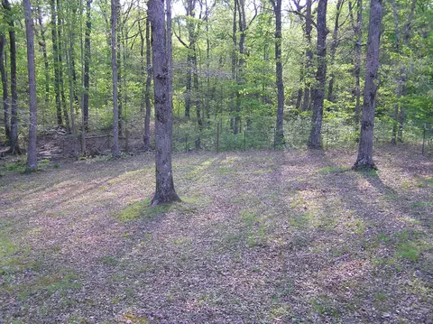 219 Roe Dr, Dunlap, TN 37327 photo 32