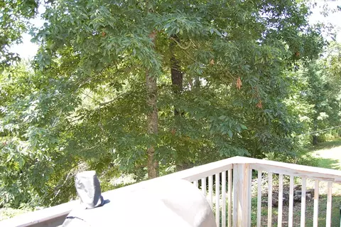 435 Mcdowell Rd, Dunlap, TN 37327 photo 31