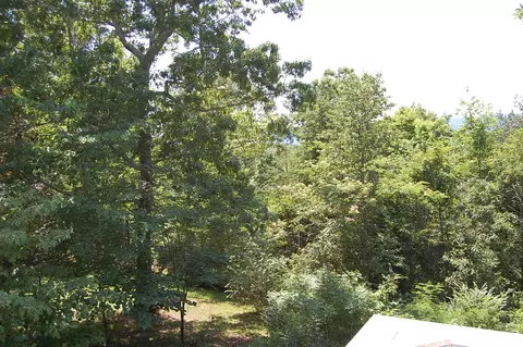 435 Mcdowell Rd, Dunlap, TN 37327 photo 29