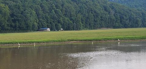 403 Davis Rd, Dunlap, TN 37327 photo 6
