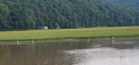 403 Davis Rd, Dunlap, TN 37327 photo 6