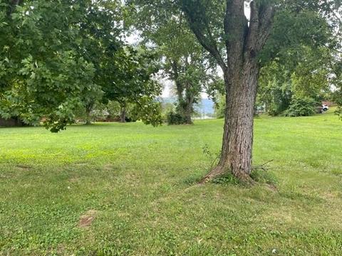 329 1st Ave, Dunlap, TN 37327 photo 1