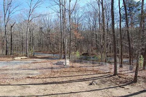 722 Deerhead Rd, Dunlap, TN 37327 photo 34