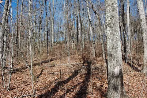 722 Deerhead Rd, Dunlap, TN 37327 photo 13