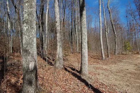 722 Deerhead Rd, Dunlap, TN 37327 photo 14