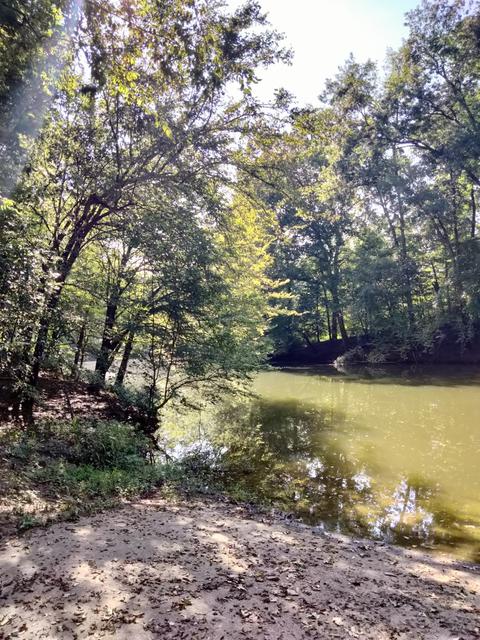 0 Boat Ramp Ln, Decaturville, TN 38329