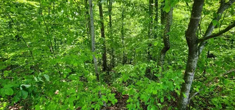 0 Coves Pointe, Sparta, TN 38583 photo 6