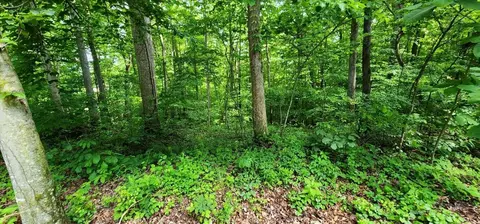 0 Coves Pointe, Sparta, TN 38583 photo 9