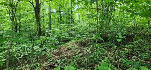 0 Coves Pointe, Sparta, TN 38583 photo 7