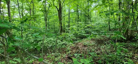 0 Coves Pointe, Sparta, TN 38583 photo 8