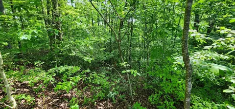 0 Coves Pointe, Sparta, TN 38583 photo 4