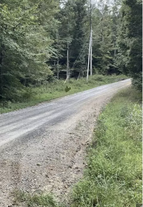 0 Holland Point Rd, Waverly, TN 37185