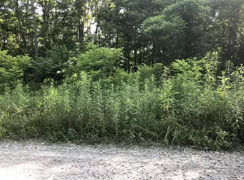 0 White Oak Ln, Crawford, TN 38554