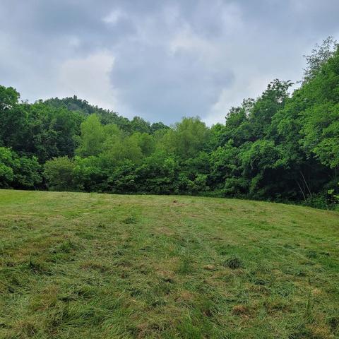 3461 Cowser Rd, Cornersville, TN 37047
