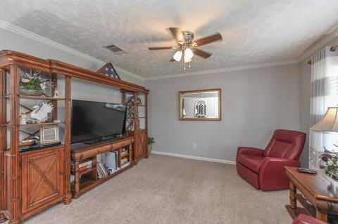 3307 Monoco Dr, Spring Hill, TN 37174 photo 8