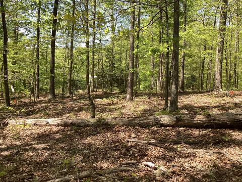 10745 Ellis Ridge Rd, Bon Aqua, TN 37025