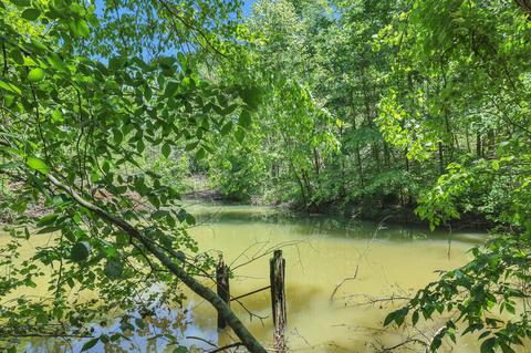 660 Rogues Fork Rd, Bethpage, TN 37022 photo 25