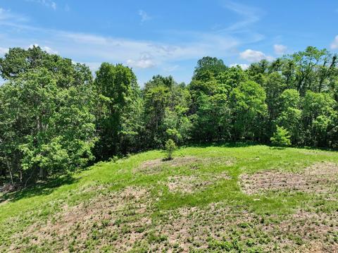 660 Rogues Fork Rd, Bethpage, TN 37022 photo 6