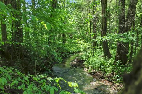 660 Rogues Fork Rd, Bethpage, TN 37022 photo 38