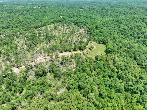 660 Rogues Fork Rd, Bethpage, TN 37022 photo 29