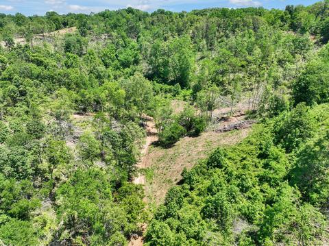 660 Rogues Fork Rd, Bethpage, TN 37022 photo 43